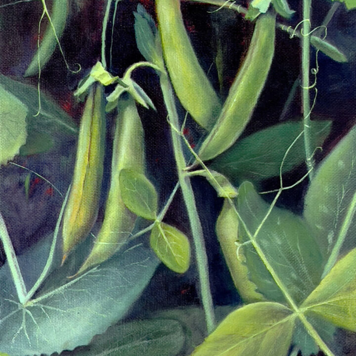 Oil painting of green peas growing