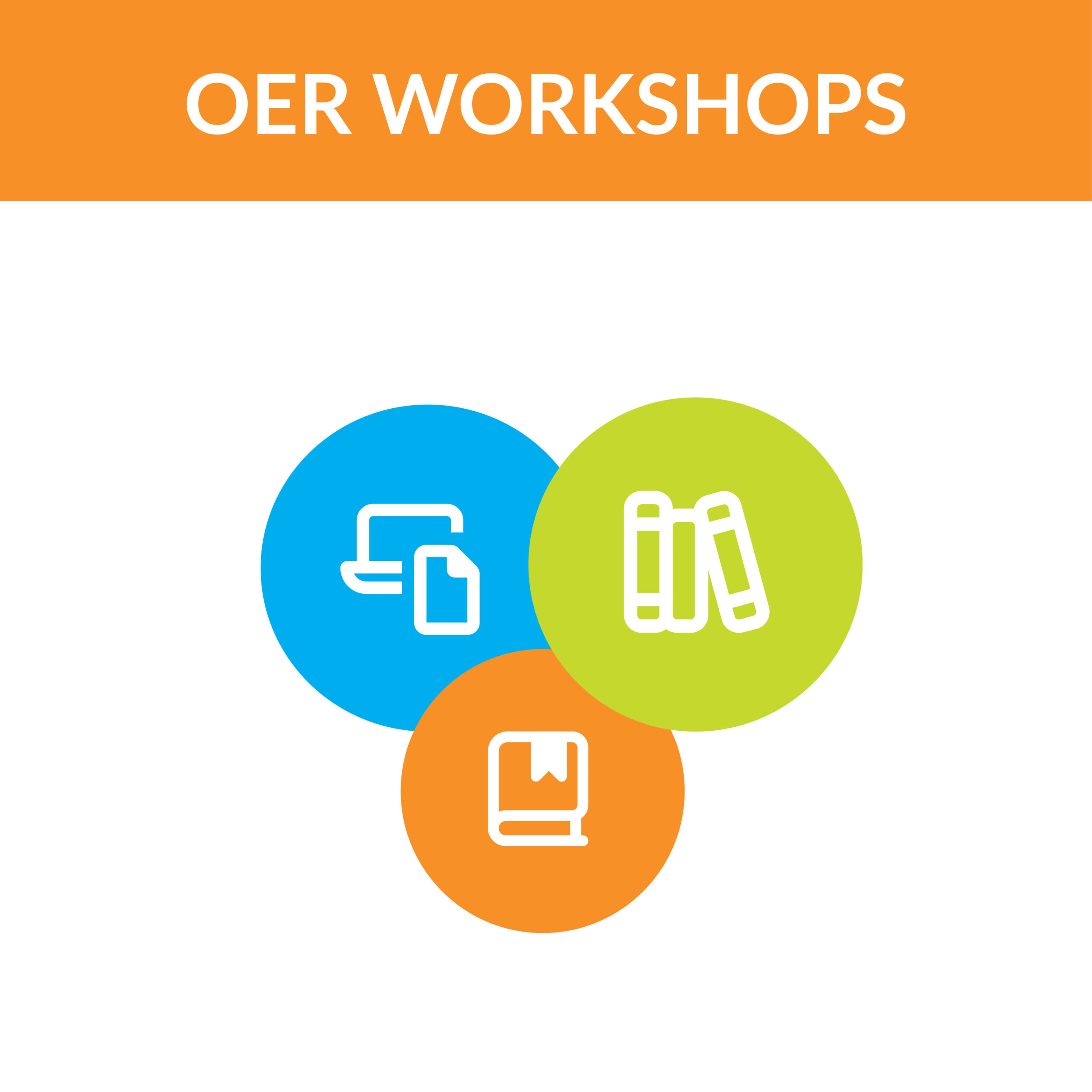 Open Educational Resources Opportunities at UNE