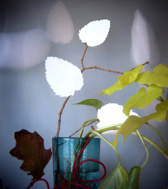 Fran Vita-Taylor, The Beauty of What Remains 5. Archival digital print, 12