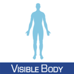 Visible-body-150x150-1.png